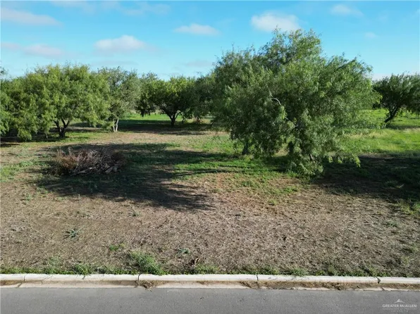 LOT 119 Micaela St, Donna, TX 78537