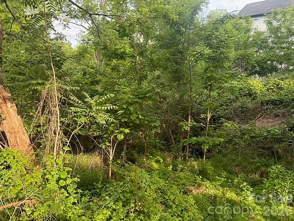 5th image of 111 Waynesville Ave
