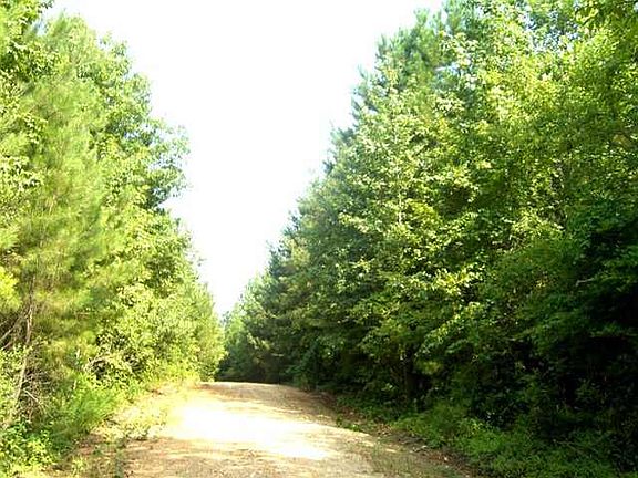 4th image of TBD Pineywood Church Road