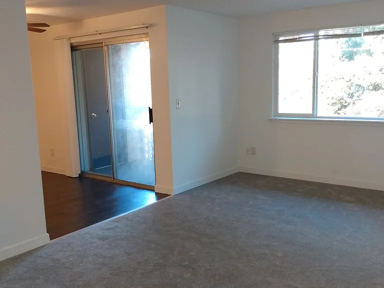 South Hill Apartments — Photo 5