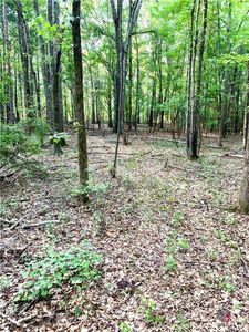 0 Sewell Mill Rd, Danielsville, GA, 30633