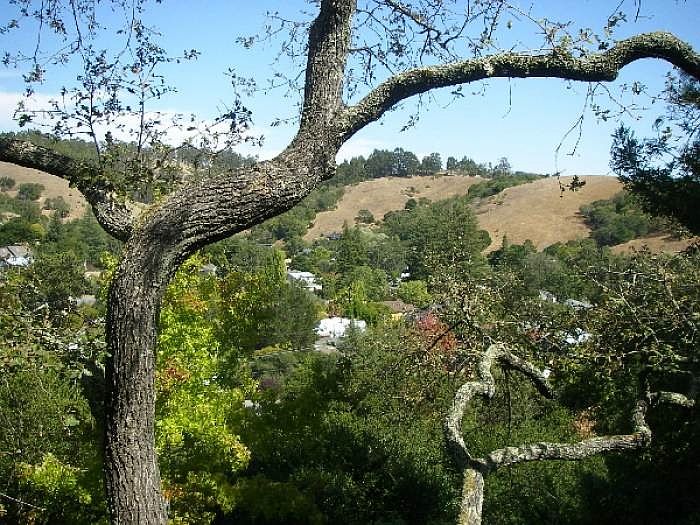 Picturesque View