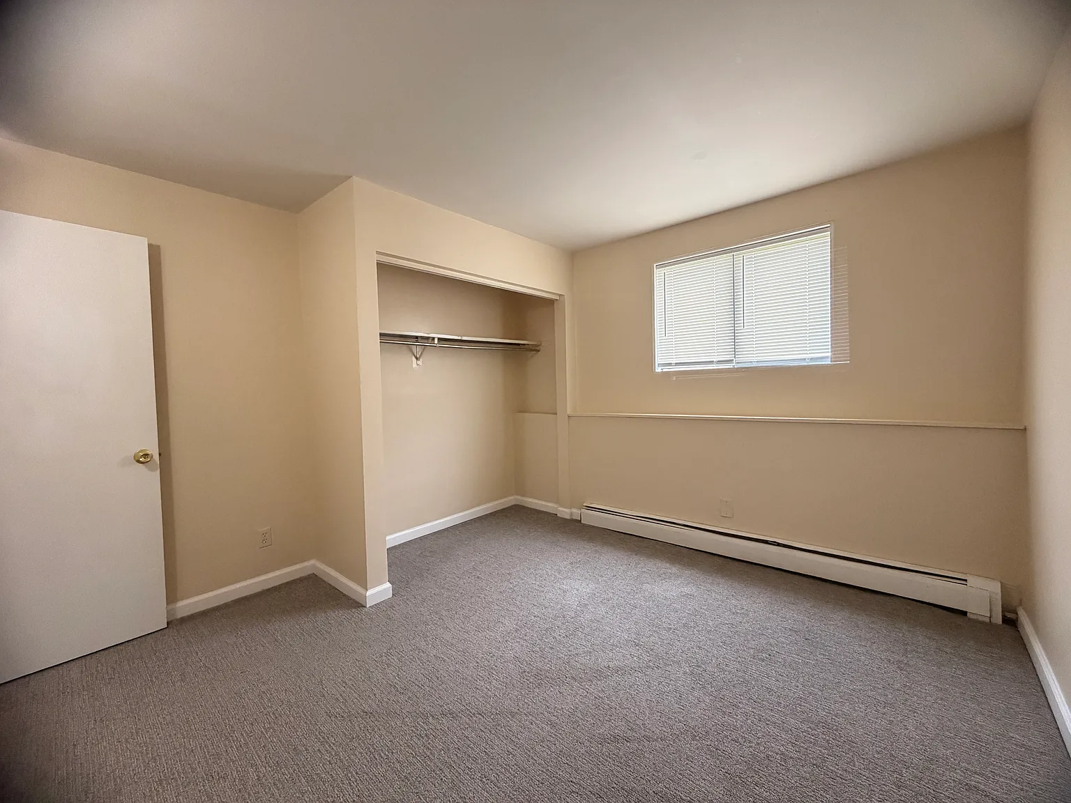 1 bed, $850 — Photo 4