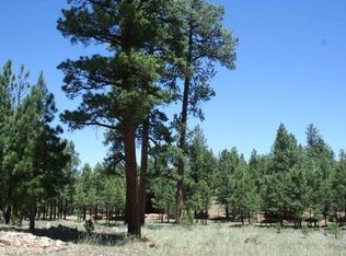 4109 Durango Dr, Happy Jack, AZ 86024