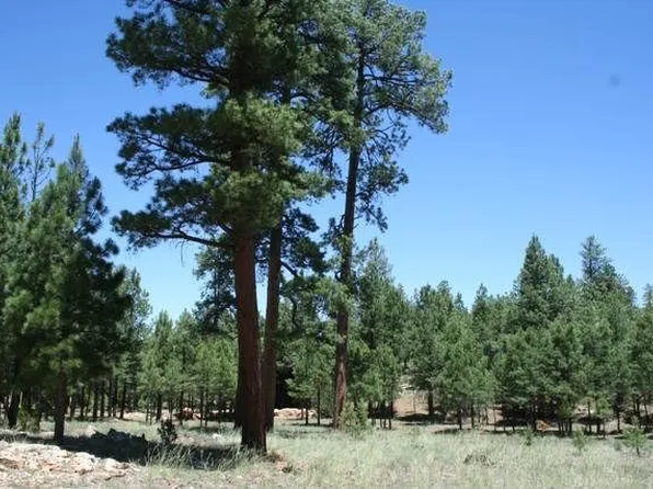 4109 Durango Dr, Happy Jack, AZ 86024