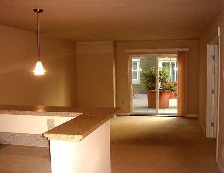 Dining~Living and Patio