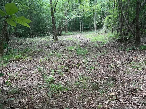 23 Shoreside Dr, Double Springs, AL 35553