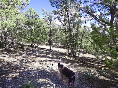 0 Velasquez Rd, Glorieta, NM, 87535