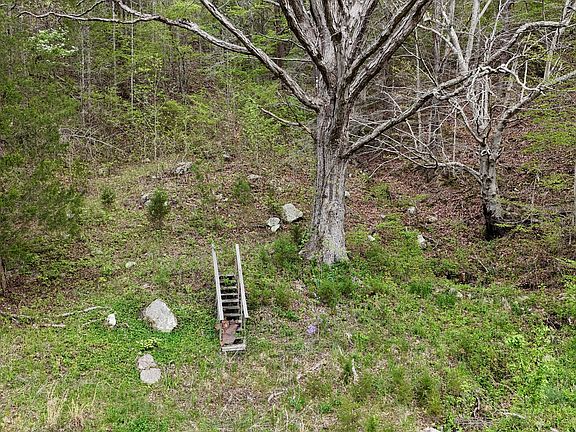 3rd image of TRACT 1 Grassy Creek Rd