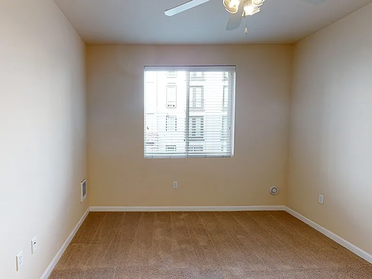 Spacious apartment bedroom with plush carpet flooring.