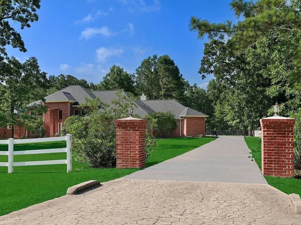 15569 Zoe Loop Dr, Montgomery, TX 77316