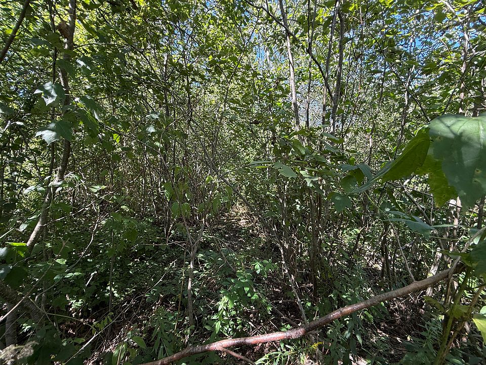 2nd image of 9A Clark Road