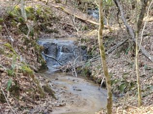 LT 10 Bear Paw Trl, Blue Ridge, GA 30540
