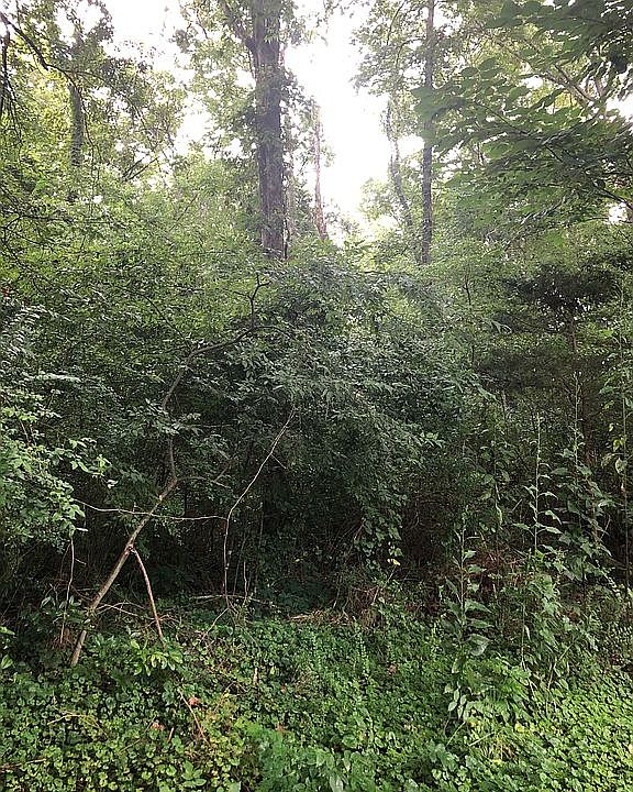 2nd image of Cooley Rd