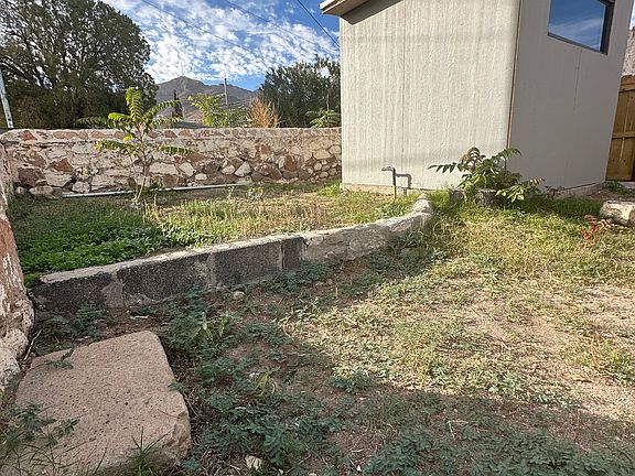 Backyard/Laundry room