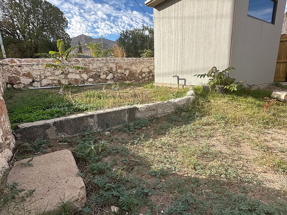 Backyard/Laundry room