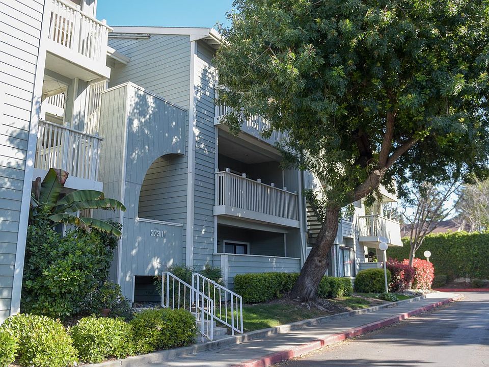 1st image of 37311 Aspenwood Cmn APT 203
