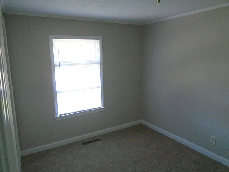 517 Albany St — Photo 12