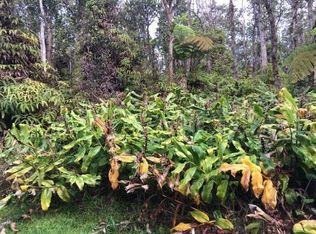 9th St, Volcano, HI 96785