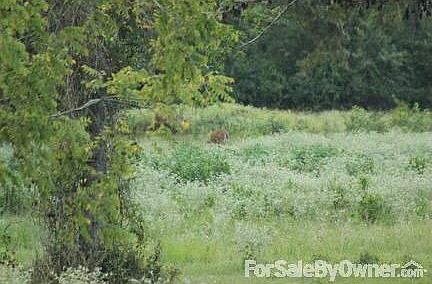 2nd image of 13601 Pipeline Rd
