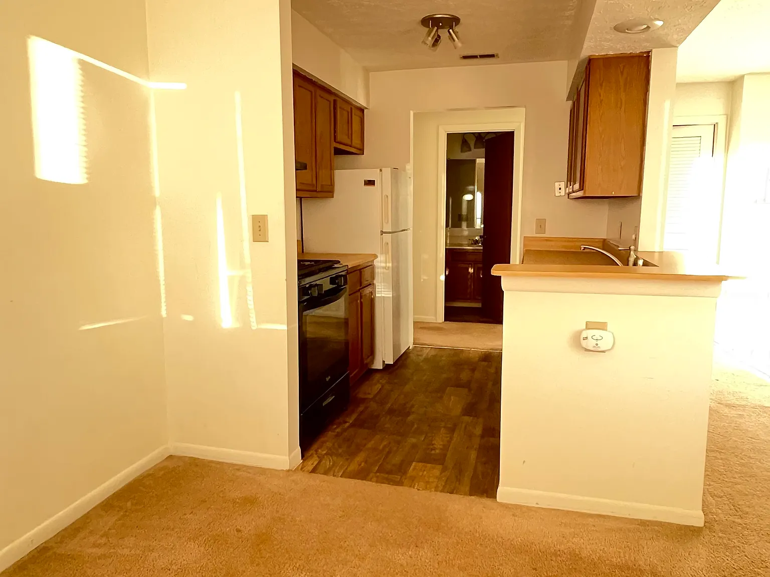 1 bed, 771 sqft, $1,150 — Photo 3