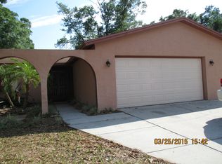 1417 Windjammer Loop, Lutz, FL 33559