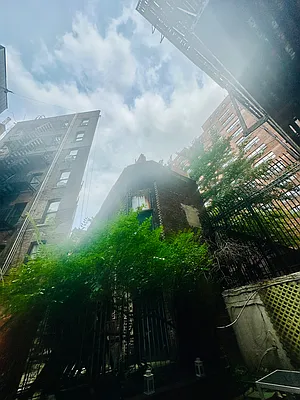 Rented by Compass | media 14