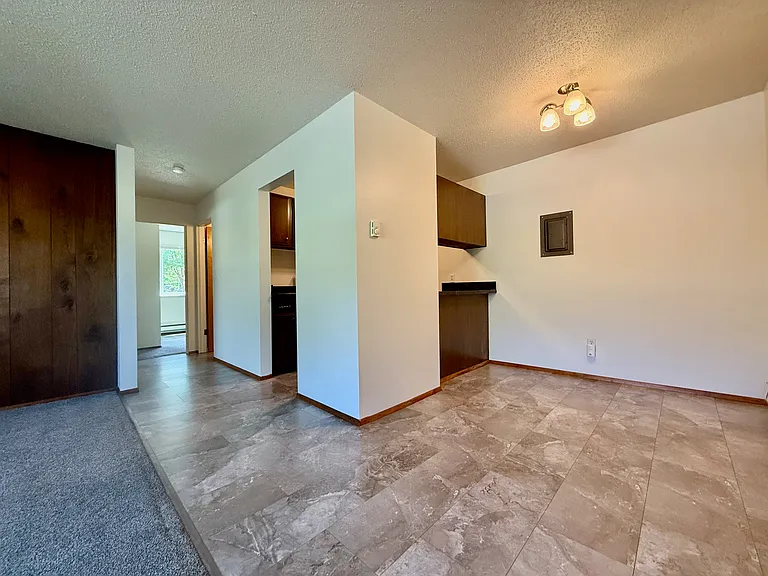 1221 E Olive St #202 — Photo 9