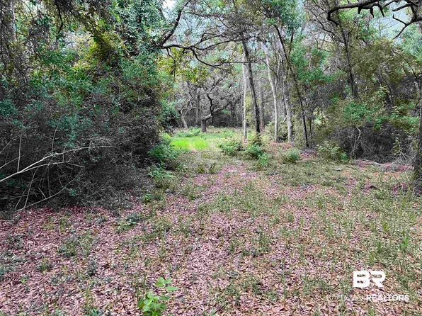 0 Farley Ln, Lillian, AL 36549