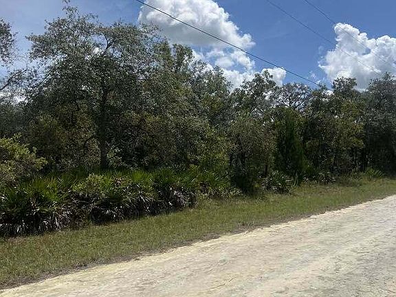 4th image of 0 Parrot Rd