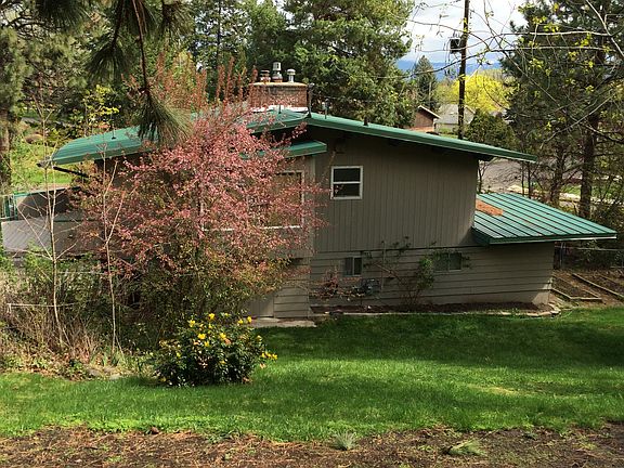 Back view