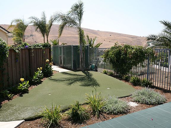 Right Side Yard (Putting Green)