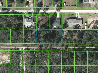 221 Caspian Tern Ave, Sebring, FL 33870