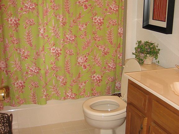 Guest bathroom