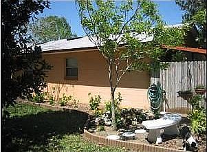 Back view