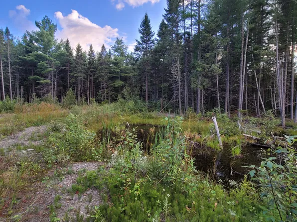 M15L10A Thomas Road, Woodland, ME 04736