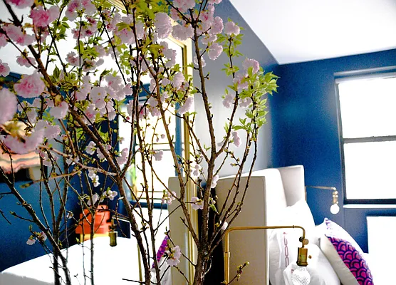 Rented by Compass | media 15