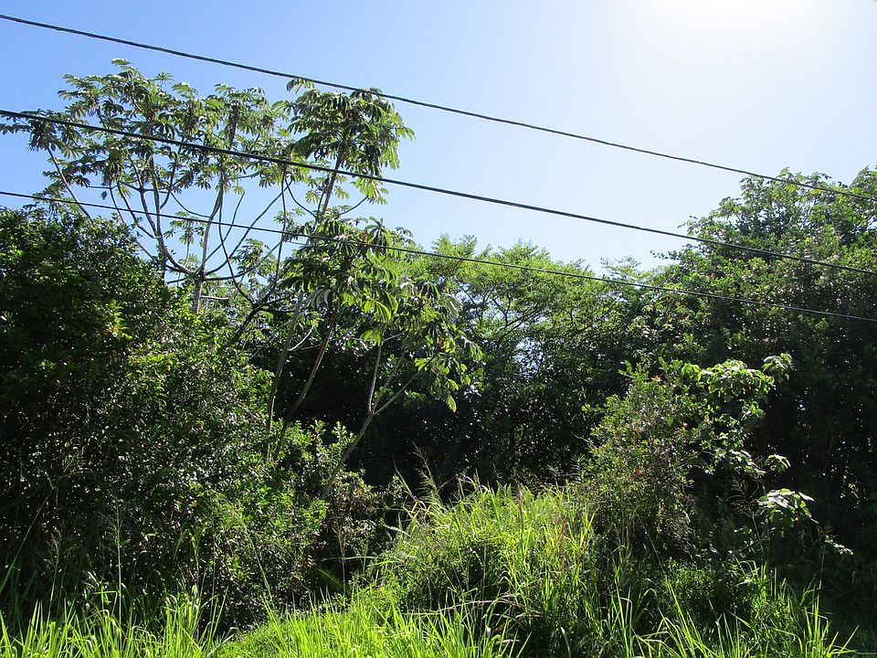 2nd image of 26th Ave Lot 31