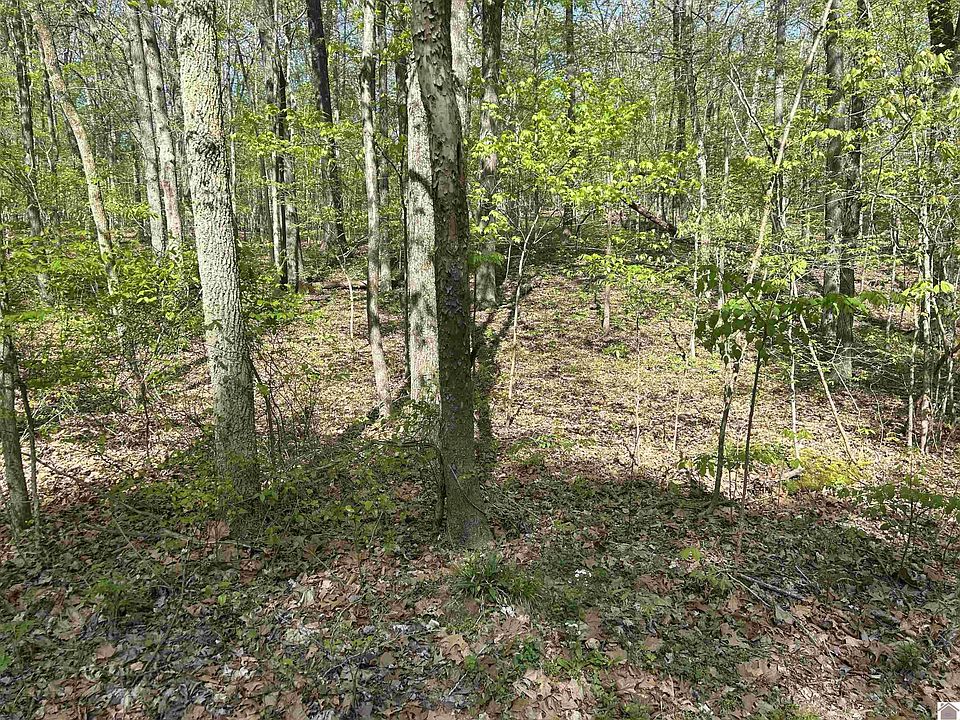 1st image of 0 Forest Dr