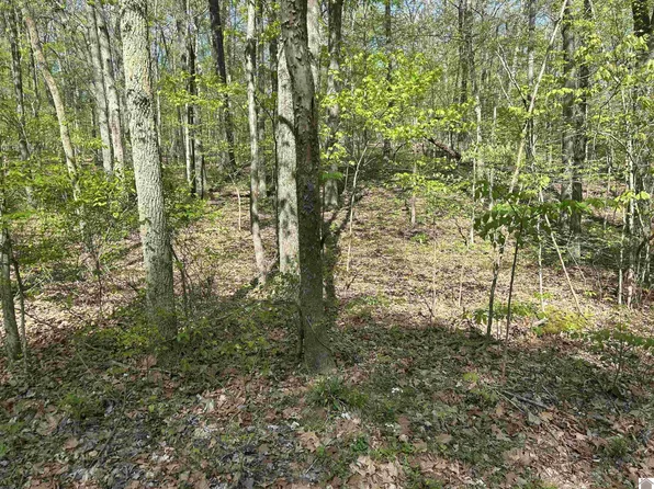 0 Forest Dr, Benton, KY 42025