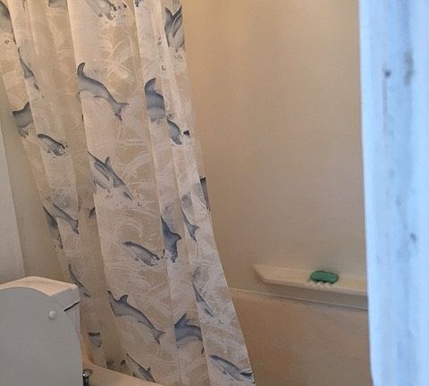 5th image of 395 Manhattan Ave APT 1R