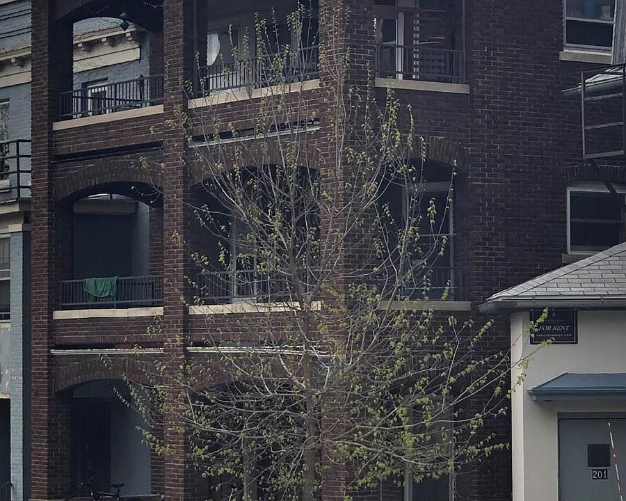 2nd image of 205 N Pinckney St