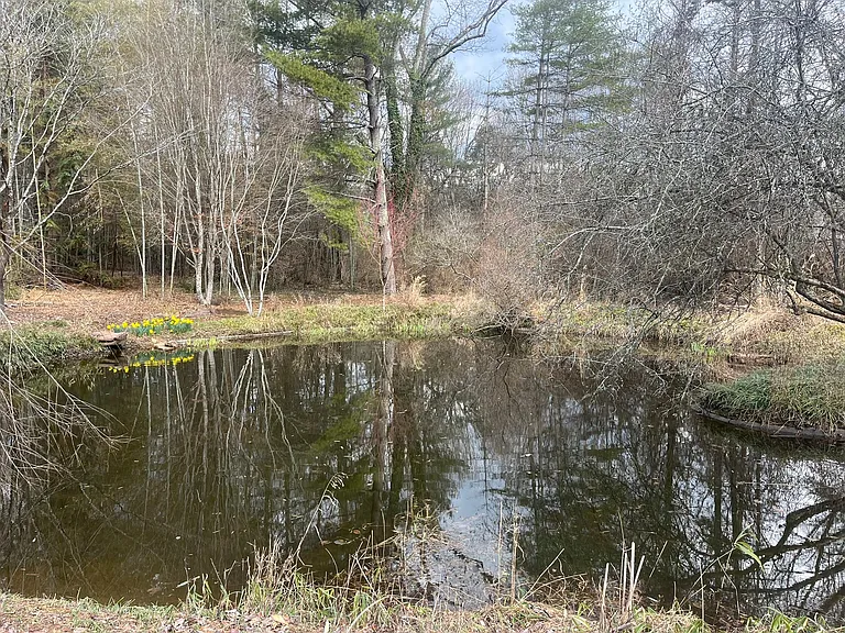10428 Coward Mill Rd — Photo 16