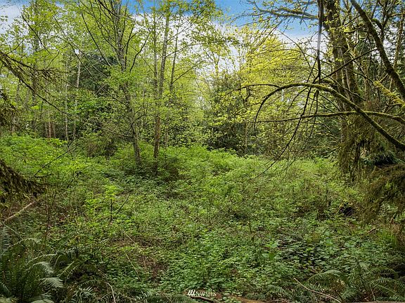 3rd image of 0 Lot B Resource Ridge Road NE