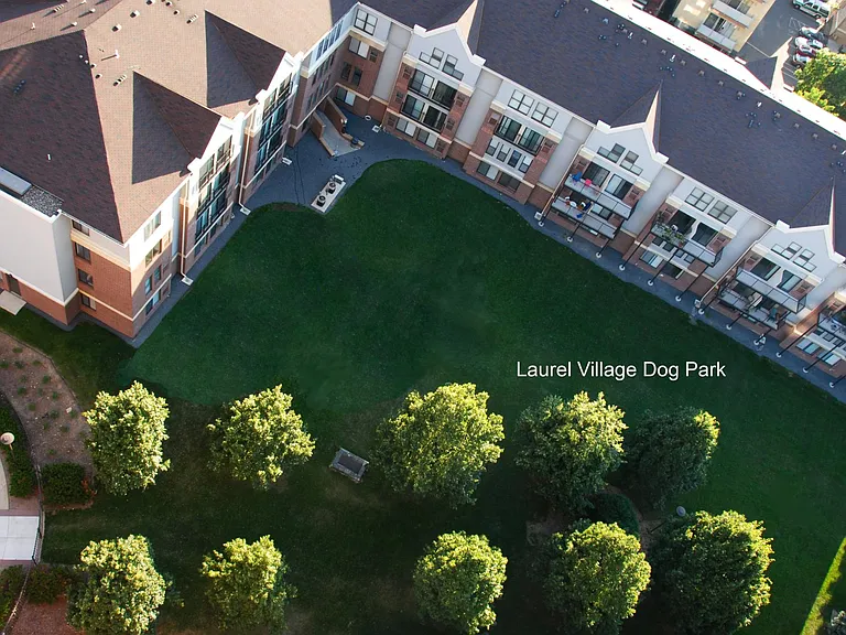 Laurel Village Apartments — Photo 15