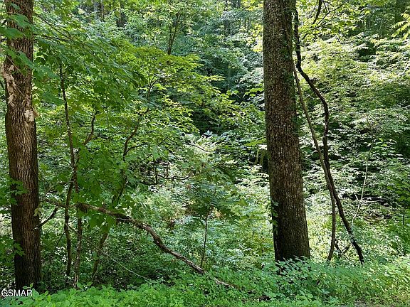 5th image of 706 School House Gap Rd House Gap