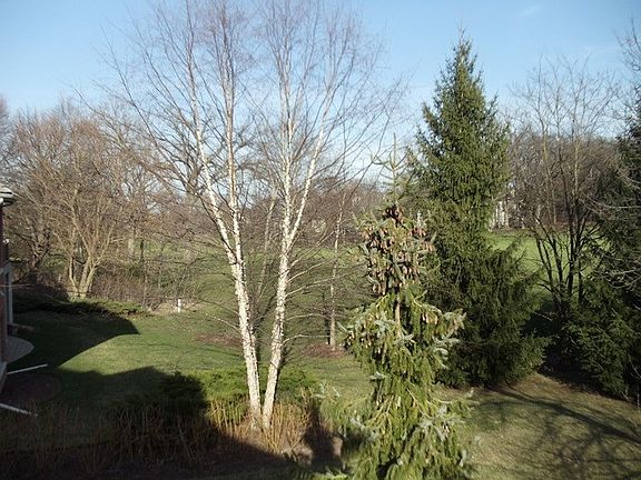 5th image of 28651 N Thorngate Dr