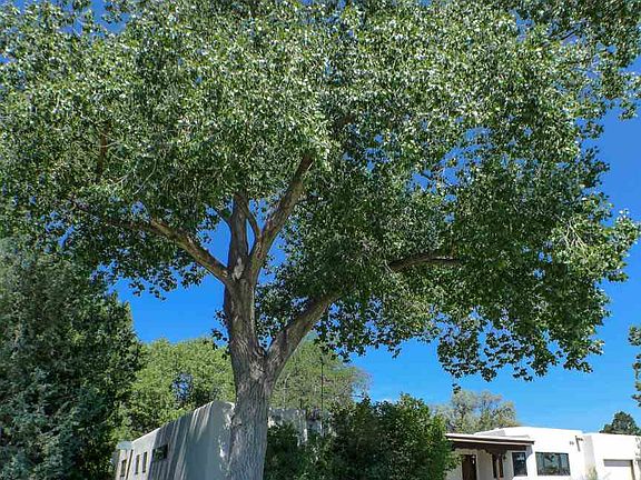 3rd image of 205 El Conejo St