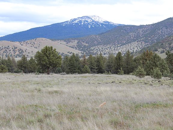 3rd image of 000 Rocky Ln