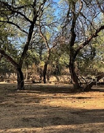 2nd image of (Undisclosed Address)